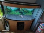 Complete aquarium van het merk  juwel, Dieren en Toebehoren, Vissen | Aquaria en Toebehoren, Ophalen, Zo goed als nieuw, Leeg aquarium