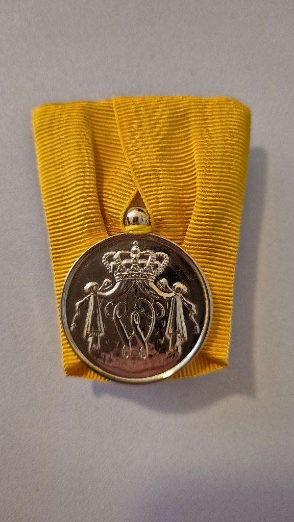 Medaille voor Langdurige Trouwe Dienst in goud, Ophalen of Verzenden, Overige materialen, Nederland