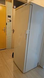 Bosch Diepvrieskast - 172cm hoog, 65cm breed - Nette staat, Vrieskast, Gebruikt, 160 cm of meer, Ophalen of Verzenden