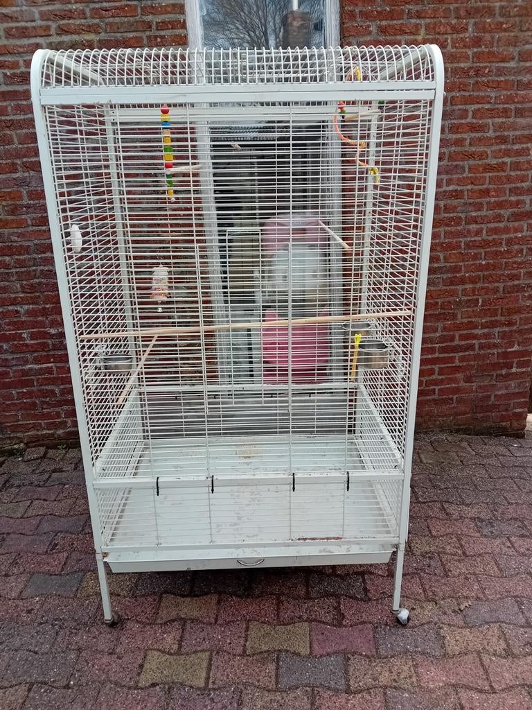 Vogelkooi, Ophalen, Metaal, Vogelkooi