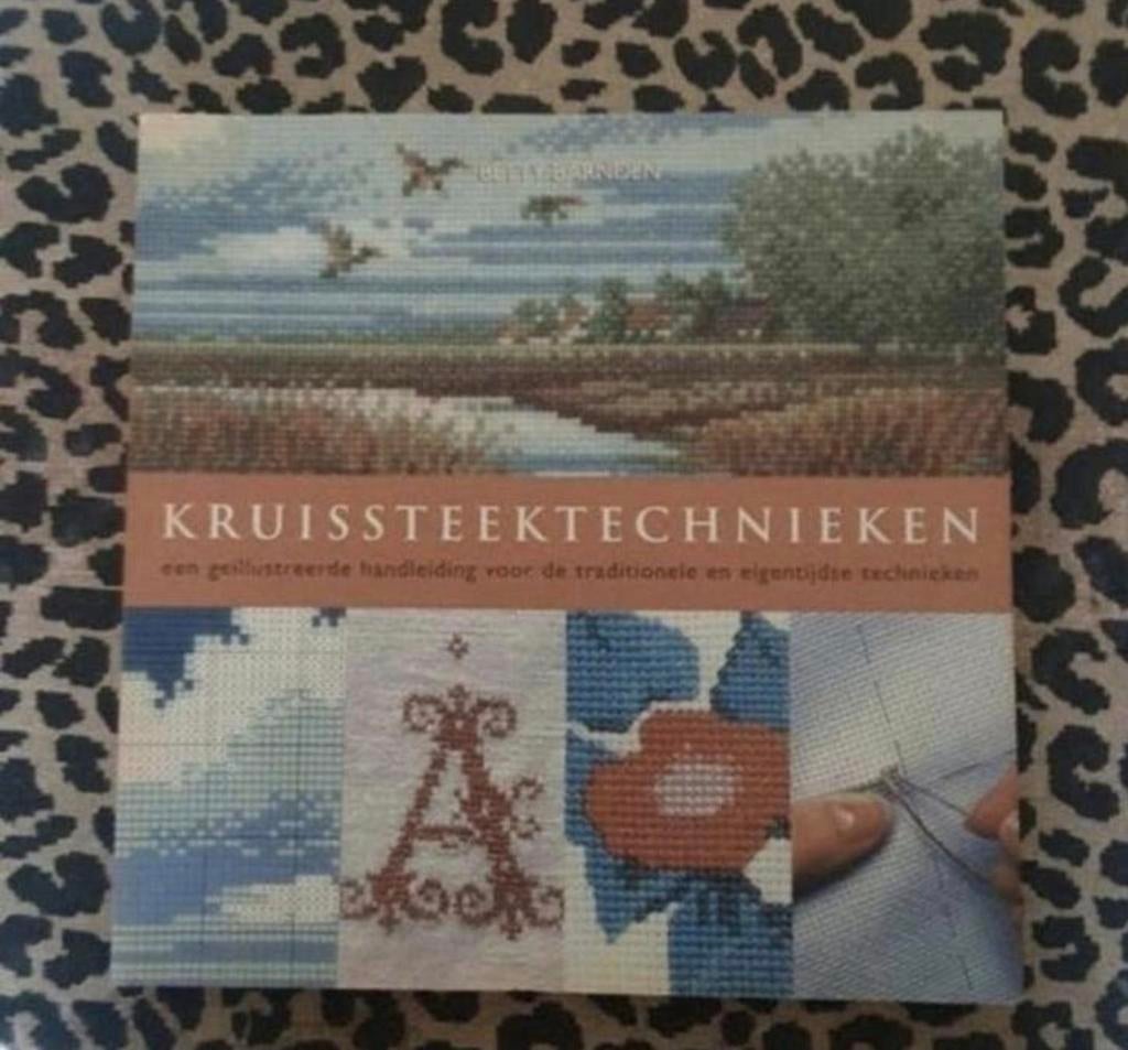 Boek kruissteek technieken, Ophalen of Verzenden, Nieuw, Handborduren, Patroon