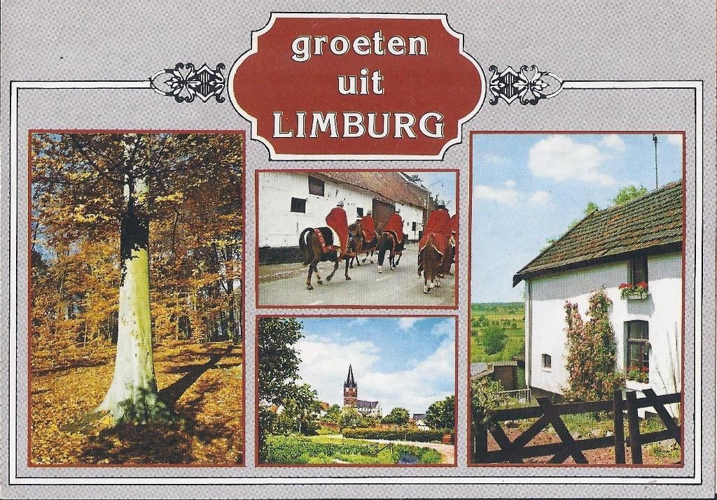 Limburg Gelopen Ansichtkaart ( A948 ), Verzamelen, Ansichtkaarten | Nederland, Ophalen of Verzenden, 1980 tot heden, Gelopen, Limburg