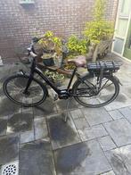 Batavus Finez ego 2022, Ophalen, Batavus, Zo goed als nieuw, 51 tot 55 cm