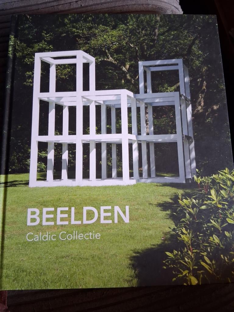 Beelden - Caldic Collectie, Boeken, Ophalen of Verzenden, Zo goed als nieuw, Architecten