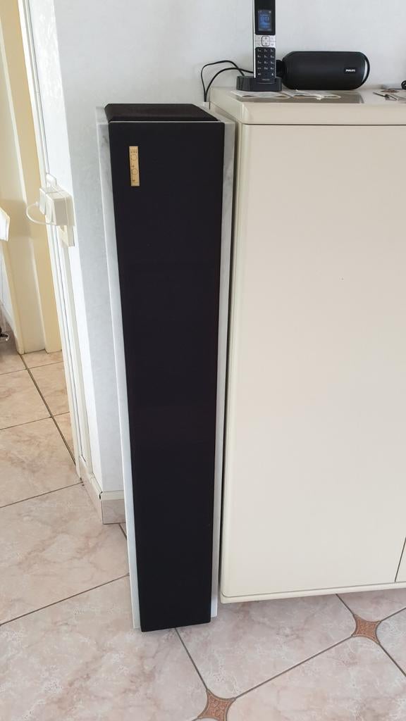 Pied Piper Speakers in Wit Marmer Kast, Zo goed als nieuw, 120 watt of meer, Front, Rear of Stereo speakers, Ophalen