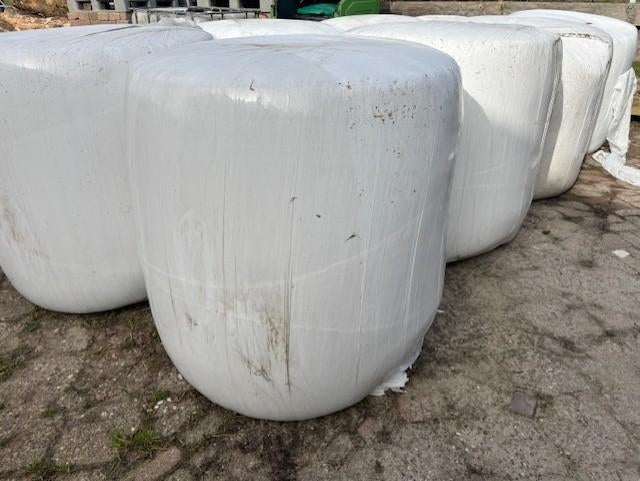 maisbalen ca 800-1000 kg en 100 kg baaltjes oogst 2025, Meerdere dieren, Schaap