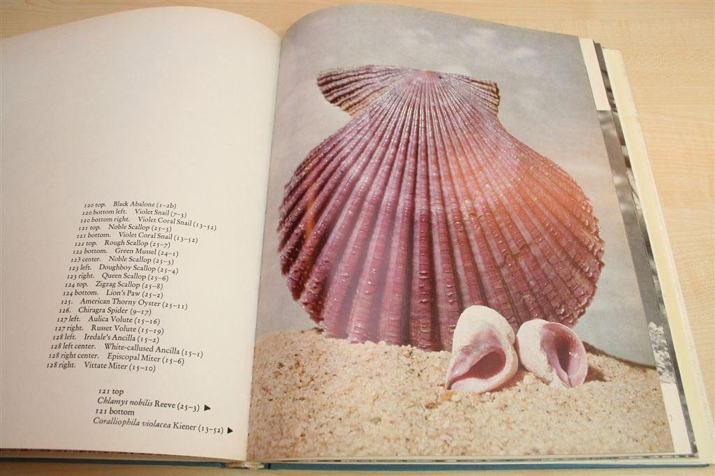 Schelpen — Feininger — Zeldzaam & Veel Foto's, Boeken, Ophalen of Verzenden, Gelezen, Honden