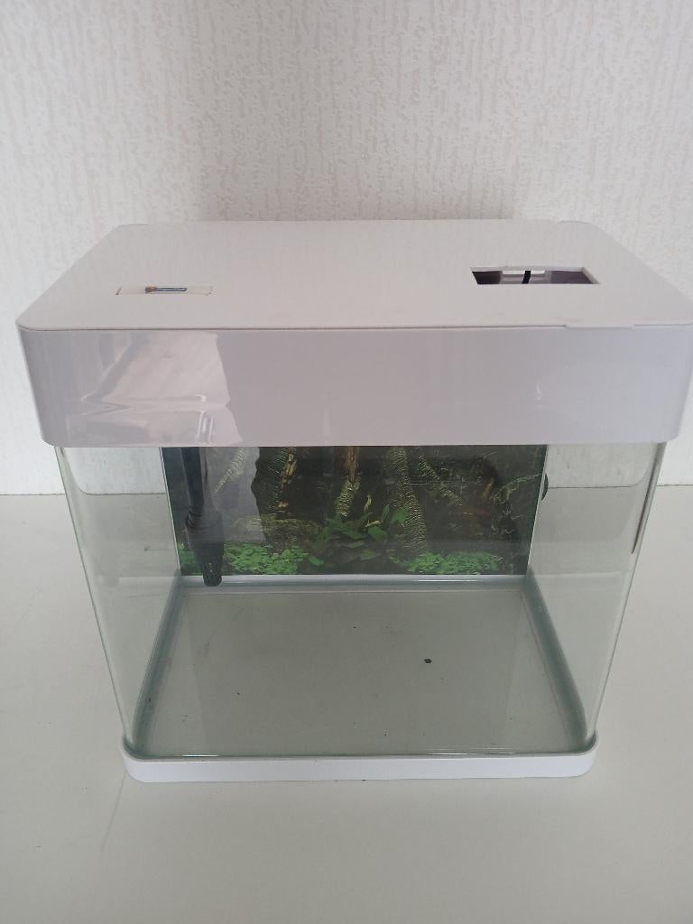 Superfish Panorama 20 led . (17 liter) Wit, Ophalen, Gebruikt, Leeg aquarium, Superfish