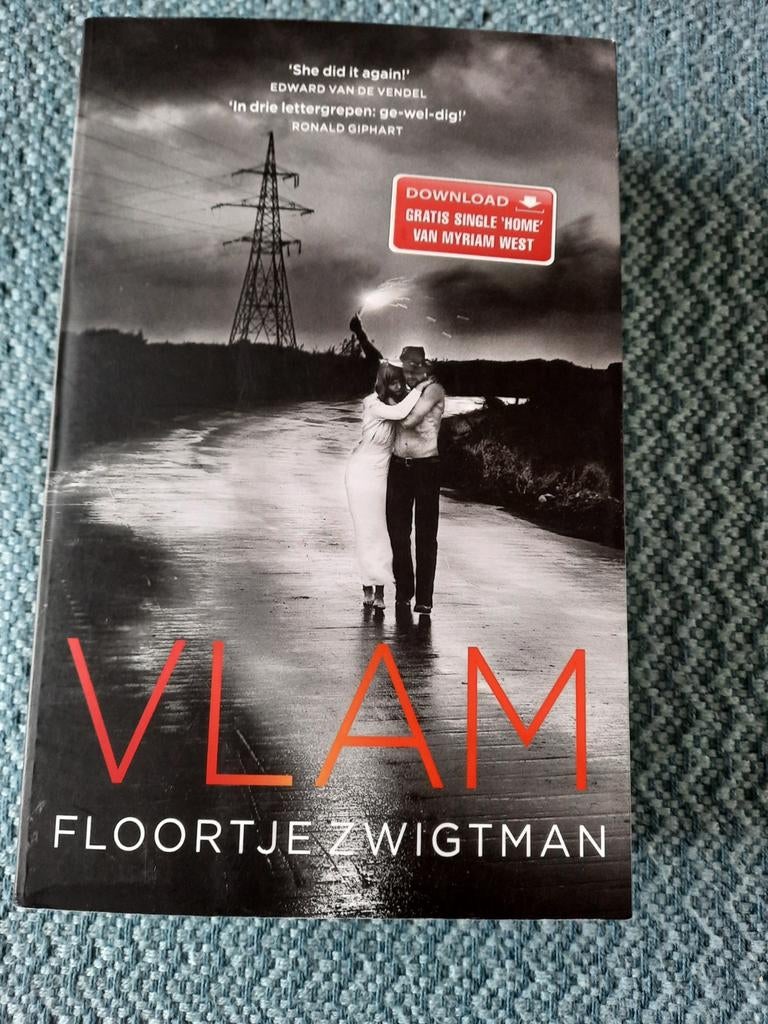 Vlam - Floortje Zwigtman (Paperback met flappen), Boeken, Ophalen of Verzenden, Zo goed als nieuw, Floortje Zwigtman, Nederland