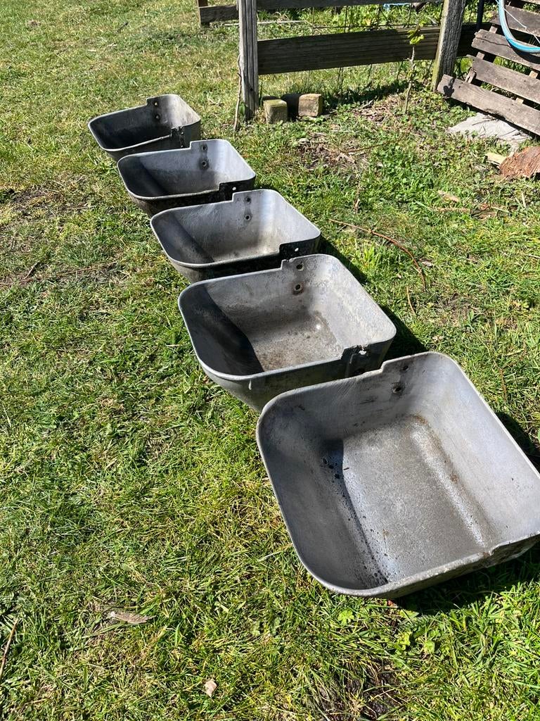 Gegalvaniseerde Voerbak (nog 5 beschikbaar), Dieren en Toebehoren, Schapen, Geiten en Varkens, Meerdere dieren, Varken