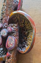 Vintage Ars Munda wandsculptuur jaren 70 Brutalist, Gebruikt, Ophalen of Verzenden, X, X