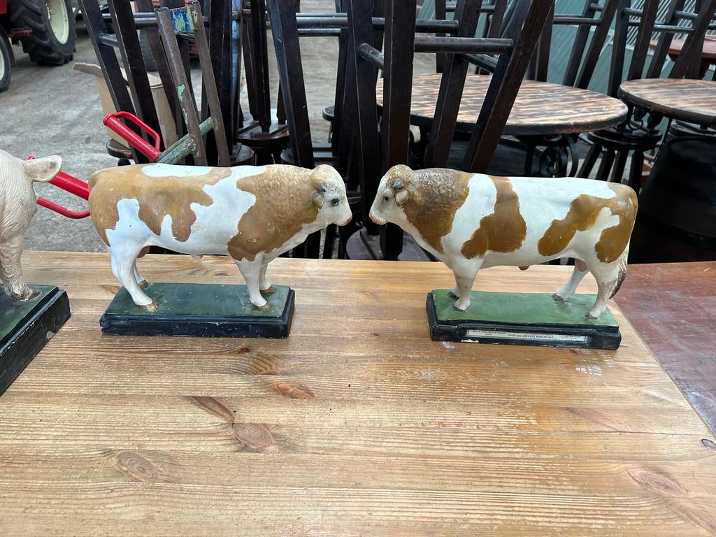 2 Oude Schoolmodel Stieren van Gips - Zeer Decoratief, Verzamelen, Ophalen of Verzenden, Gebruikt, Boerderijdier, Beeldje of Figuurtje