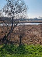 Perceel linge / oever / lingelandje te huur aangeboden!, Ophalen, Gebruikt, Eén persoon