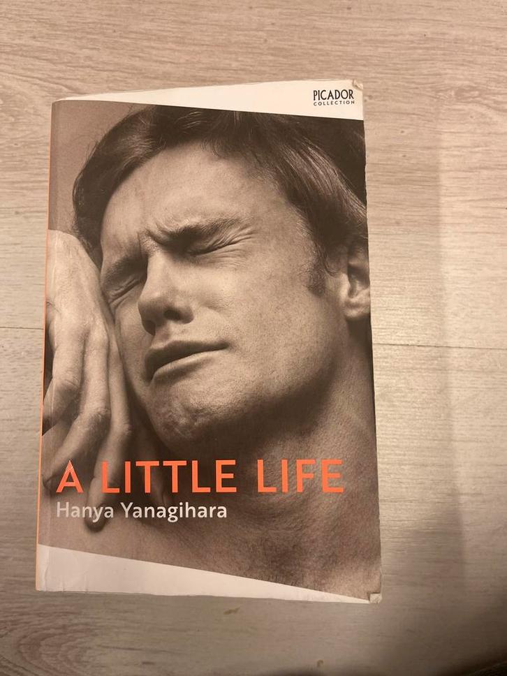 A Little Life - Hanya Yanagihara (Engels), Boeken, Literatuur, Gelezen, Wereld overig, Ophalen of Verzenden