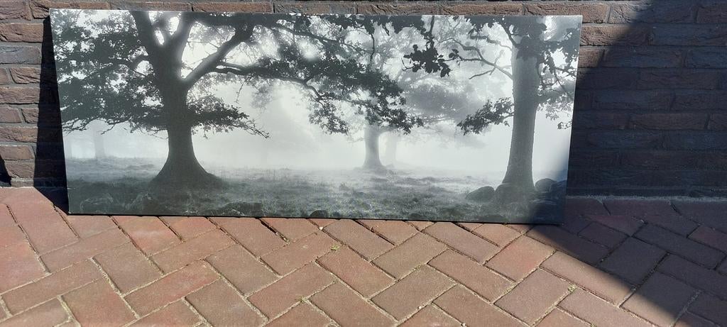 Schilderij op canvas: Mysterieus bos met mist, Huis en Inrichting, 50 tot 75 cm, Ophalen of Verzenden, Zo goed als nieuw, Schilderij