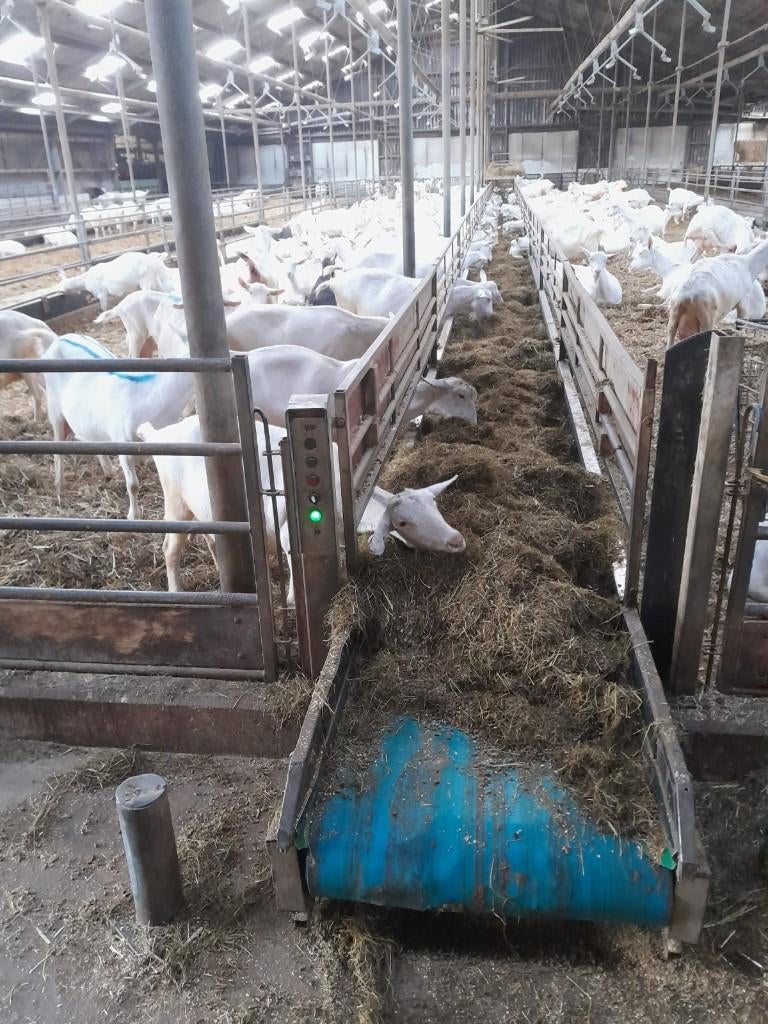 Voerbanden te koop, Ophalen, Veehouderij, Stalinrichting