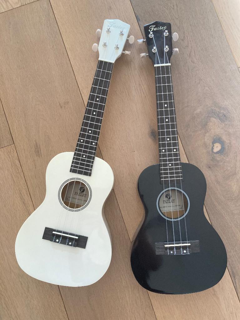 2 concert ukeleles ukelele, Ophalen, Zo goed als nieuw, Ukelele