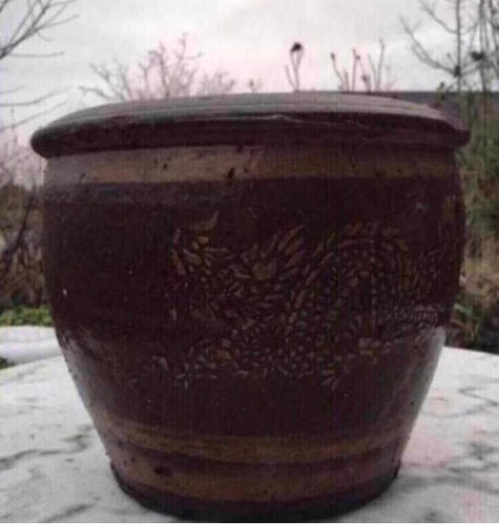 Prachtige decoratieve terracotta bloempot met drakenmotief, 25 tot 40 cm, Gebruikt, Rond, Ophalen of Verzenden
