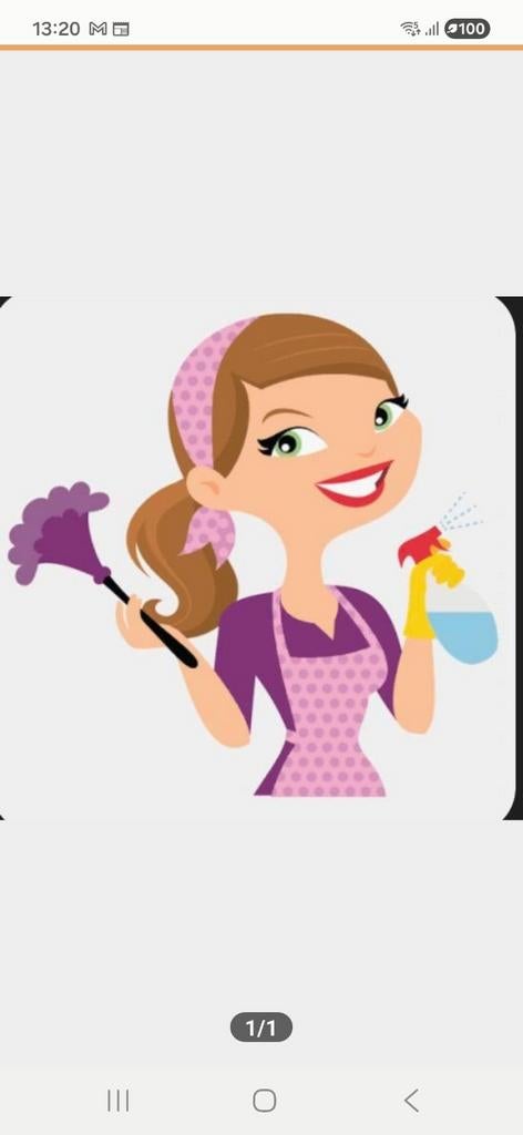 Zoekt u huishoudelijke hulp een schoonmaakster?