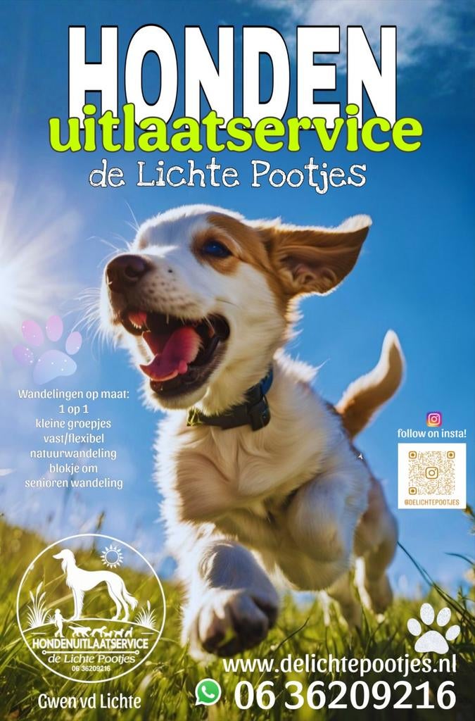 Hondenuitlaatservice!, Diensten en Vakmensen, Dieren | Honden | Verzorging, Oppas en Les, Uitlaatservice