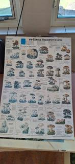 Schoolplaat, Antiek en Kunst, Ophalen, Natuur en Biologie