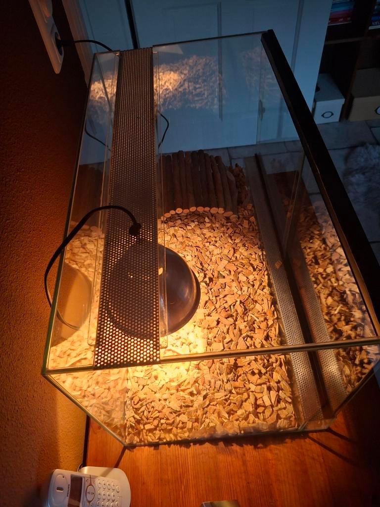 Terrarium 60Lx36hx30br., Tuin en Terras, Ophalen, Zo goed als nieuw, Hout