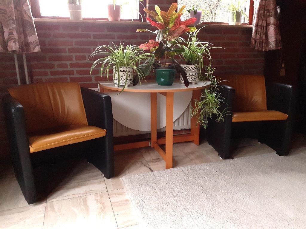 LeoLux SAGA leren fauteuils, Ophalen, Gebruikt, Minder dan 75 cm, LeoLux SAGA