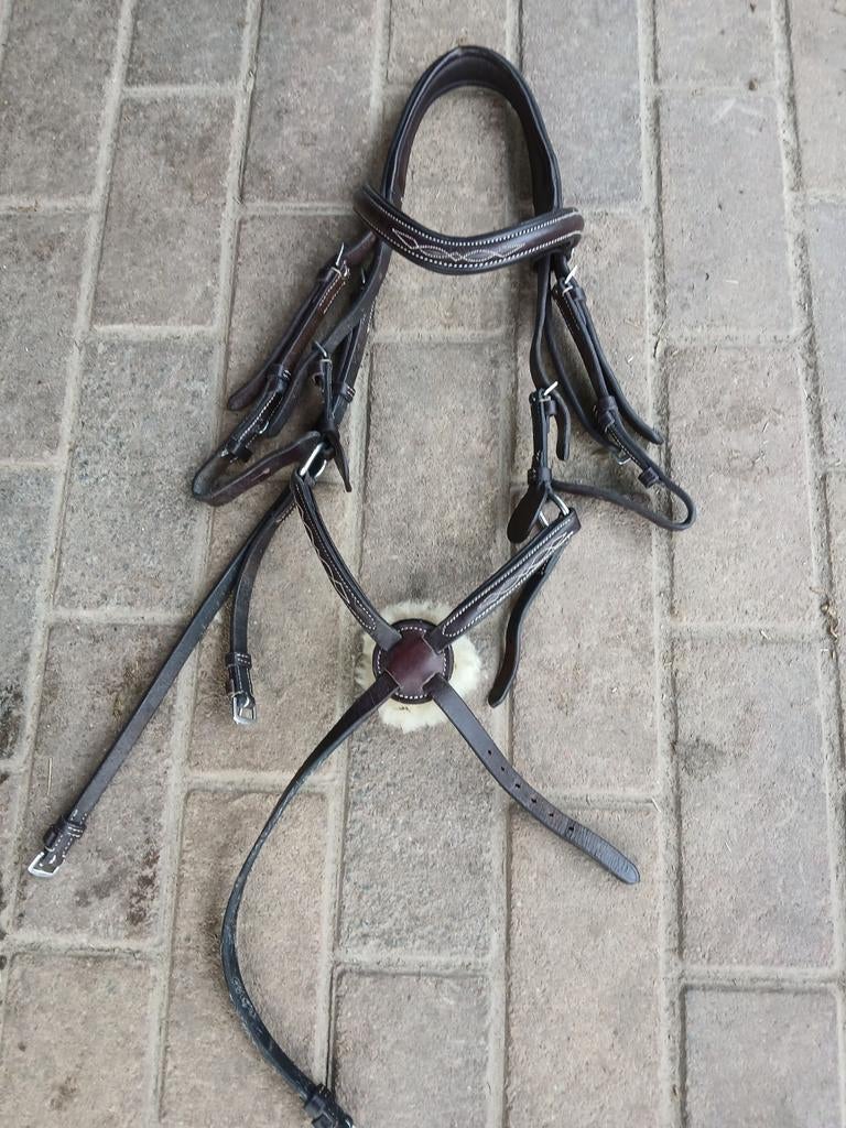 Kavalkade hoofdstel, Ophalen