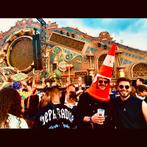 Tomorrowland W2 Magnificent Greens, Tickets en Kaartjes, Evenementen en Festivals