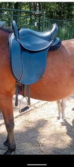 Zadel voor pony met korte rug., Ophalen of Verzenden