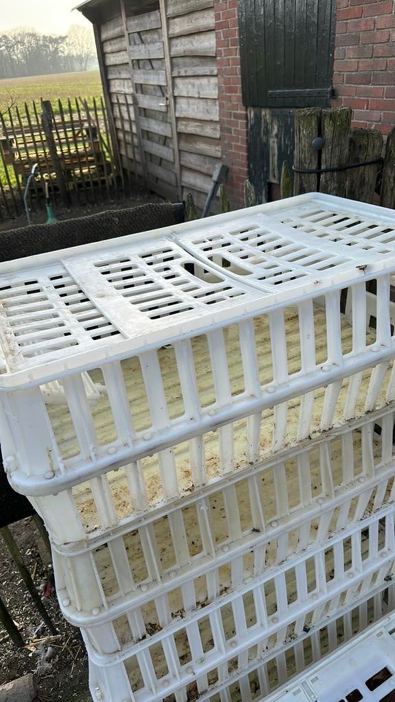 Pluimveekratten kippenkratten, Doe-het-zelf en Verbouw, Kratten en Dozen, Ophalen of Verzenden, Zo goed als nieuw, Krat, Minder dan 35 cm