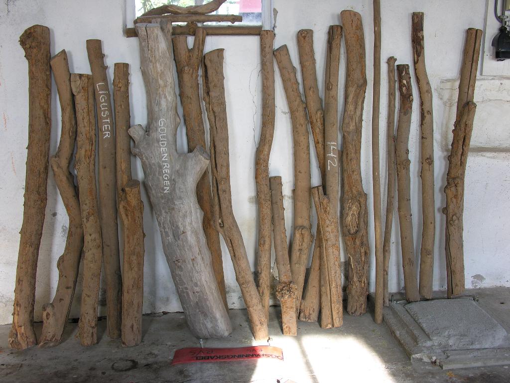 Liguster, eiken, houtsnij-, beeldhouw-, draaiwerk, hardhout., Ophalen, Overige typen, Zo goed als nieuw, 50 mm of meer