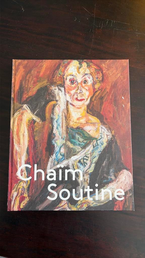 Chaim Soutine; Against the Current - Suzanne Gaensheimer, Boeken, Ophalen of Verzenden, Gelezen, Schilder- en Tekenkunst