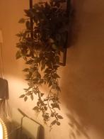 Leuke kunstplant voor een gezellige sfeer, Ophalen of Verzenden, Zo goed als nieuw, Binnen