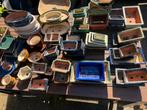 Bonsai schalen 54x stuks, Ophalen of Verzenden, Zo goed als nieuw