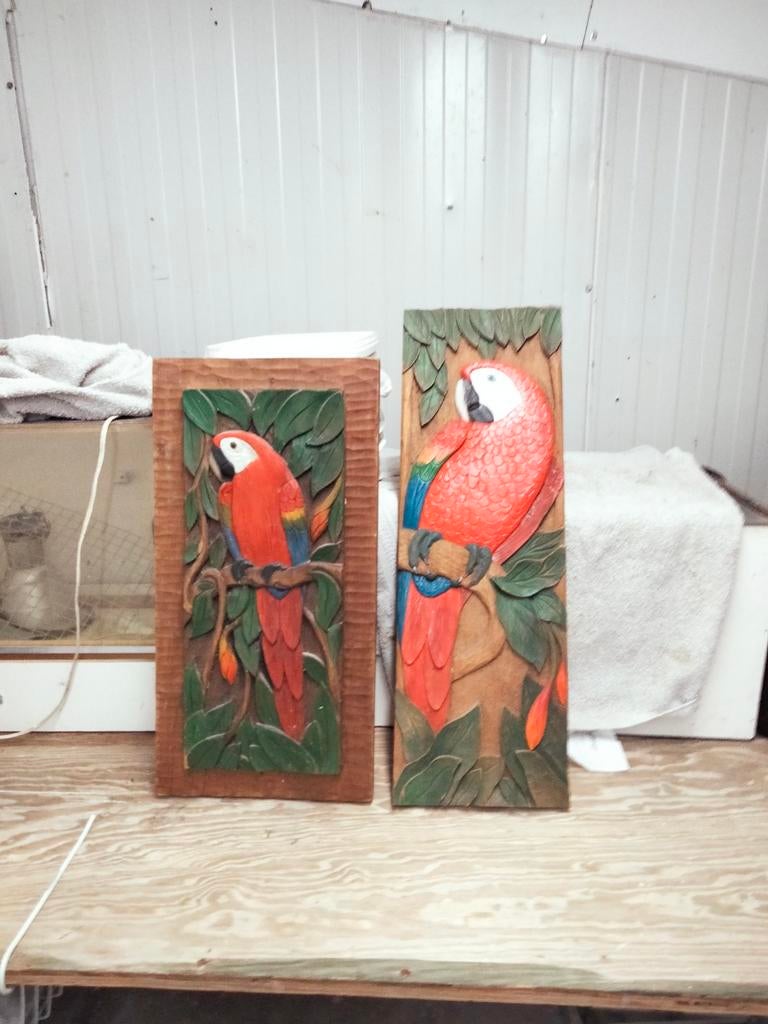 Ara houtsnijwerk, Ophalen of Verzenden