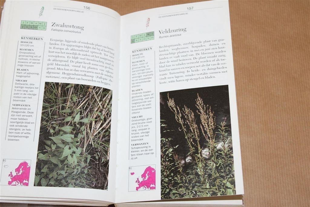 Basisgids flora en fauna in Nederland. Natuurmonumenten., Boeken, Ophalen of Verzenden, Gelezen, Natuur algemeen