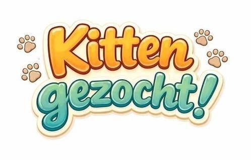Kitten gezocht gevraagd, Ophalen of Verzenden