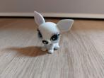 Bratz chihuahua hond lil' angelz, Ophalen of Verzenden
