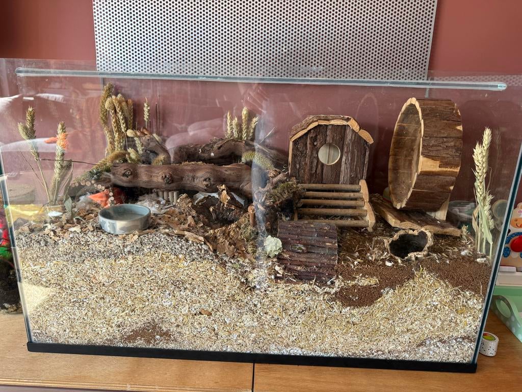 Hamster hok met toebehoren, Zo goed als nieuw, 75 tot 110 cm, Ophalen, Minder dan 60 cm