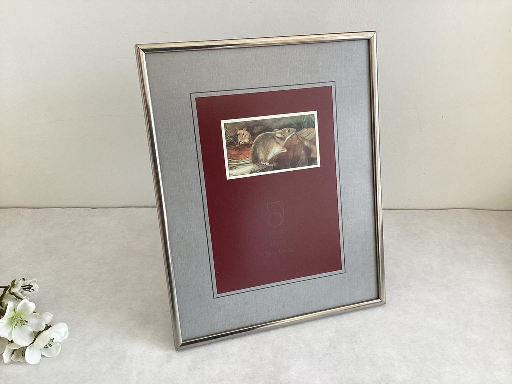 Fotolijst Jyden zilverkleurig met passe-partout 20 x 25 cm, Ophalen of Verzenden, Gebruikt, Metaal of Aluminium, Minder dan 50 cm