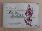 Wild Flowers 1st series compleet album cigarette cards 1936, Ophalen, Plaatjesalbum
