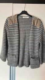 Articles dames vest zgan 42, Ophalen of Verzenden, Zo goed als nieuw, Maat 42/44 (L)