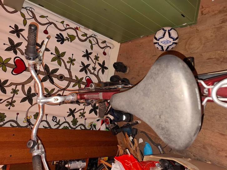 Montego heren fiets, Dieren en Toebehoren, Vogels | Overige Vogels, Mannelijk