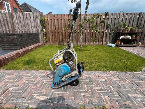 Nette weber trilplaat 2020 CF3, Diensten en Vakmensen, Tuinmannen en Stratenmakers, Bestrating