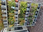 Vaste planten voor 20% van normale prijs., Ophalen, Zo goed als nieuw, Kweeklamp