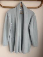 Sibin en Linnenbjerg Vest XL + Sjaal, Kleding | Dames, Truien en Vesten, Ophalen of Verzenden, Zo goed als nieuw, Maat 46/48 (XL) of groter