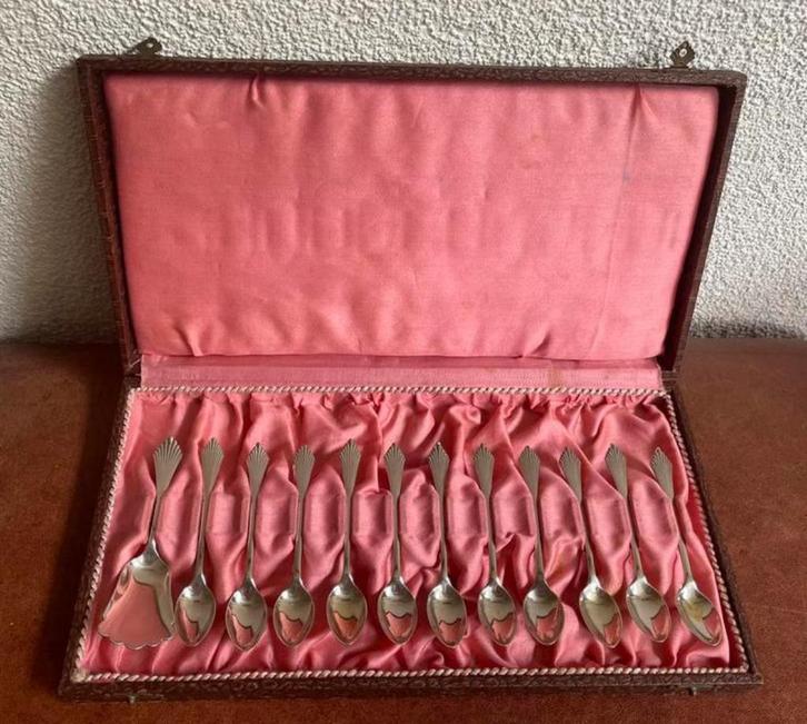 12 lepeltjes Rio Alpacca in doos, Antiek en Kunst, Antiek | Goud en Zilver, Zilver, Ophalen of Verzenden