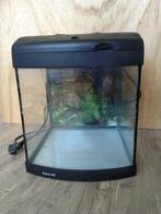 Mini aquarium 30x30x30cm, Dieren en Toebehoren, Vissen | Aquaria en Toebehoren, Ophalen, Gebruikt, Leeg aquarium