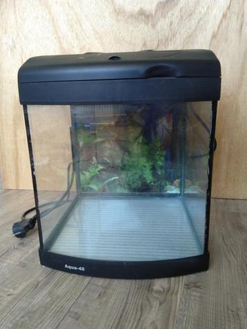 Mini aquarium 30x30x30cm beschikbaar voor biedingen